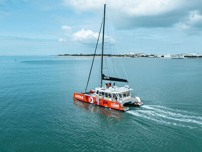 Coffret Sortie en catamaran d'1h30 depuis La Grande-Motte