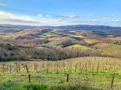 Picnic nella Maremma Toscana con vino per 2 persone