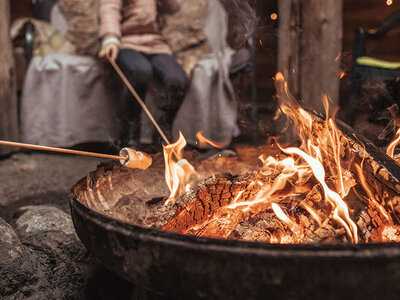 Tierisches Familienabenteuer: Husky-Wanderung mit Grillen am Lagerfeuer