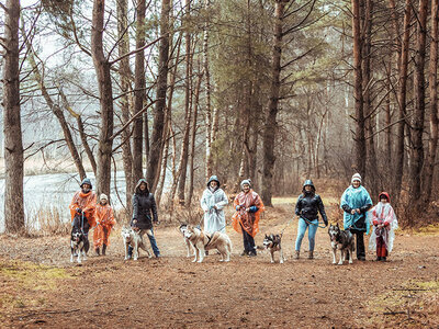 Box Tierisches Familienabenteuer: Husky-Wanderung mit Grillen am Lagerfeuer