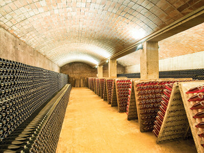 Caja El Celler Vell: visita guiada a la bodega con cata de cavas