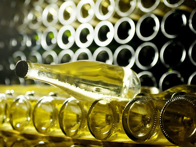 El Celler Vell: visita guiada a la bodega con cata de cavas