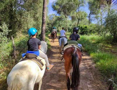 Caja ¡Naturaleza y animales!: ruta a caballo para 1 persona