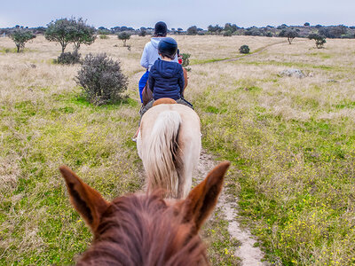 Caja regalo ¡Naturaleza y animales!: ruta a caballo para 1 persona