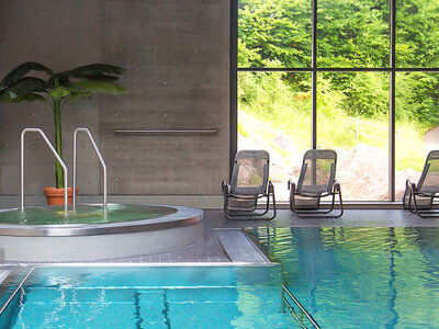 Cofanetto Vacanza relax di coppia insieme al tuo cane: 1 notte con accesso alla Spa in Svizzera