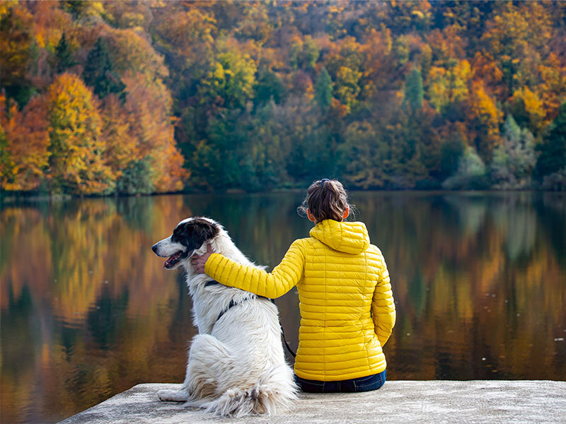 Vacanza relax di coppia insieme al tuo cane: 1 notte con accesso alla Spa in Svizzera