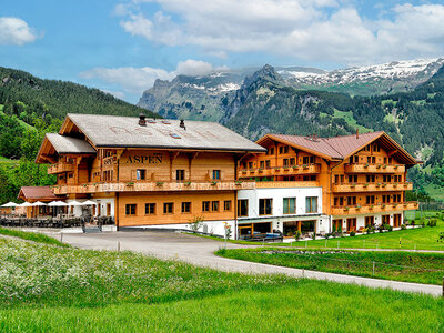 Cofanetto regalo 1 notte con accesso alla Spa presso l'hotel 4* Aspen Alpin Lifestyle a Grindelwald