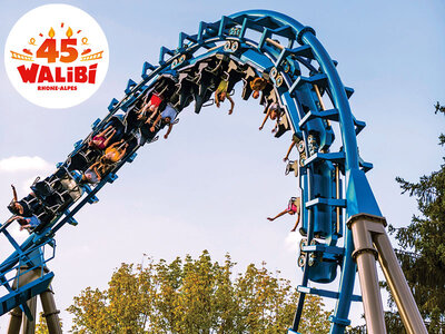 Coffret cadeau Sortie amusante : 2 entrées adulte 2024 pour le parc Walibi Rhône-Alpes