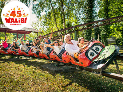 Coffret cadeau Journée fun : 1 entrée enfant 2024 pour le parc Walibi Rhône-Alpes