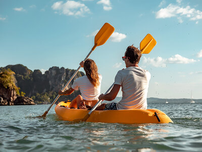 Carte cadeau aventure- 50 €