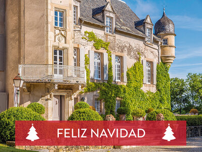 Caja regalo 1 noche en un castillo en Francia, ¡feliz Navidad!