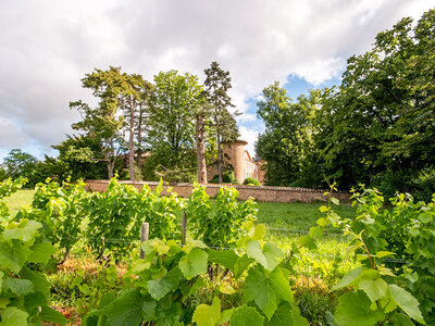 Coffret Dégustation de 4 cuvées, balade et pique-nique pour 2 dans les jardins d’un château du Beaujolais