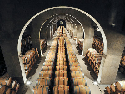 Pago de los Capellanes: visita a la bodega y cata de 3 vinos