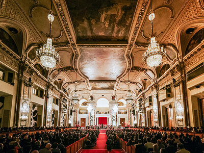 Klassik bei den Habsburgern: Konzert des Wiener Hofburg Orchesters für 2 Personen