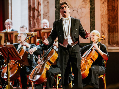 Box Klassik bei den Habsburgern: Konzert des Wiener Hofburg Orchesters für 2 Personen