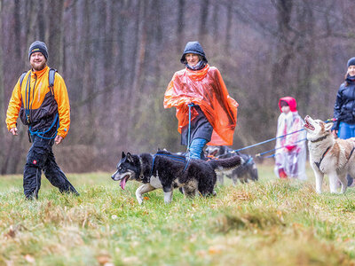 Husky-Erlebniswanderung mit Grillen am Lagerfeuer für 2 Personen