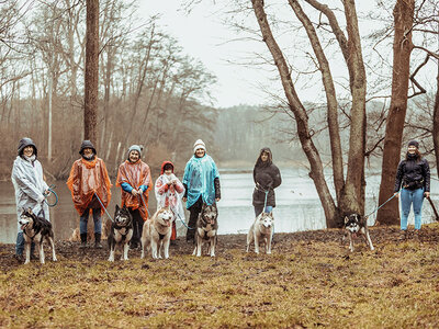 Geschenkbox Husky-Erlebniswanderung mit Grillen am Lagerfeuer für 2 Personen