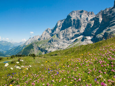 1 nuit en montagne à Kandersteg