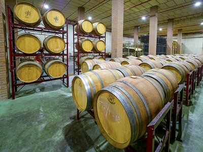 Vino & Aceite de Arganda: visita guiada y degustación de 3 vinos