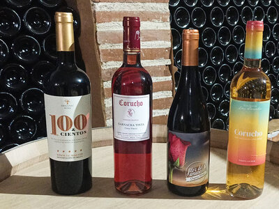 Caja Bodega Ecológica Luis Saavedra, en Madrid: visita a bodega y cata de vinos con aperitivo