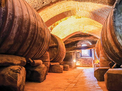 Bodegas Ernesto del Palacio: visita a la bodega de 1h con cata vinos de 30 min para 2