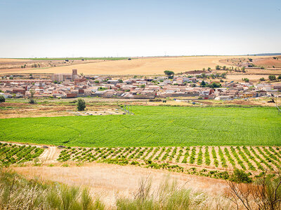 Caja regalo Bodegas Ernesto del Palacio: visita a la bodega de 1h con cata vinos de 30 min para 2