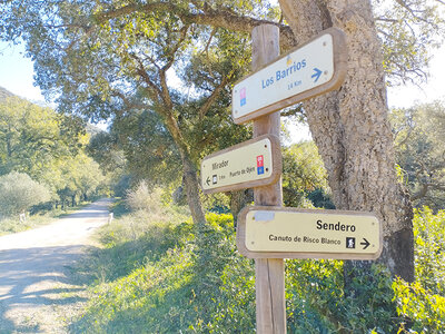 Caja Ruta en Cádiz en buggie eléctrico de 4h para 2 personas