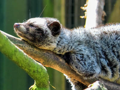 Familieuitje naar Dierenpark Taman Indonesia