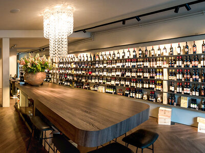 Auswahl von 6 Flaschen spanischer oder italienischer Weine von Terravigna