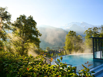 Pausa gourmet con accesso alla Spa e pranzo in un hotel 5* a Lenk
