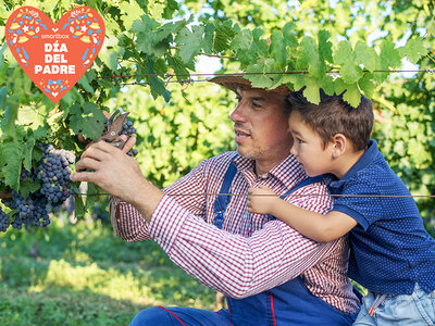 Caja regalo Escapada entre viñas con papá: 1 noche con visita a bodega y cata de vinos