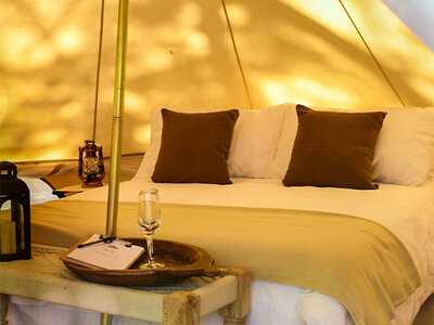 Coffret cadeau 3 jours de glamping pour 4 au Domaine des Grottes de Han (haute saison)