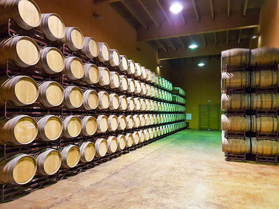 Caja Bodegas San Martín de Ábalos: visita a bodega con cata de vinos y pintxos para 2 personas