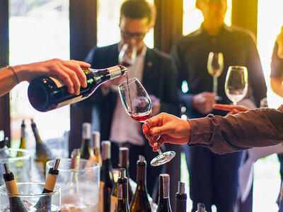 Caja regalo Bodegas San Martín de Ábalos: visita a bodega con cata de vinos y pintxos para 2 personas