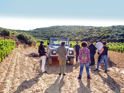 Proyecto Unsi: 1 visita a la bodega y a los viñedos en un todoterreno y cata para 2