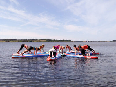 Boks Paddleboardkursus i Roskilde Fjord