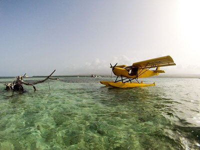 Vol en hydravion de 30 min pour 1 personne au-dessus de la Guadeloupe