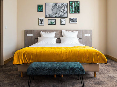 Coffret 3 jours en hôtel 4* avec accès au spa à Avignon