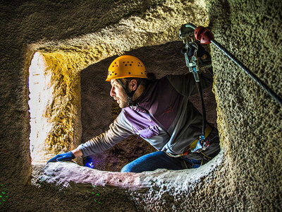 Box Sport und Spaß im Strausberger Kletterwald