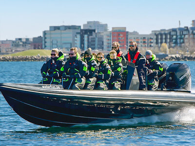 Actionfylld RIB Safari för 2 i Öresund