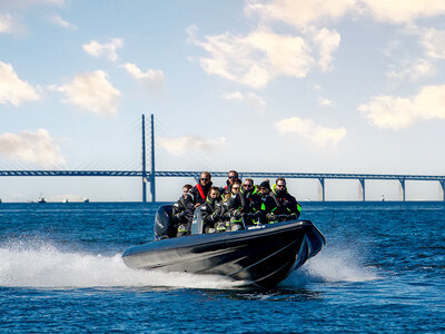 Box Actionfylld RIB Safari för 2 i Öresund