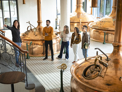 Caja Degustación en la Antigua Fábrica Estrella Damm: 1 visita y cata especial