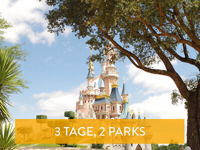 Geschenkbox Tickets für 2 Disney® Parks für 2 Erwachsene und 1 Kind für 3 Tage