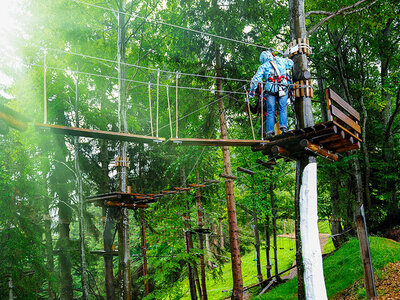 Box Hoch hinaus im Brandenburger Kletterpark