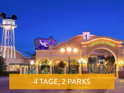 Geschenkbox Tickets für 2 Disney® Parks für 2 Erwachsene für 4 Tage