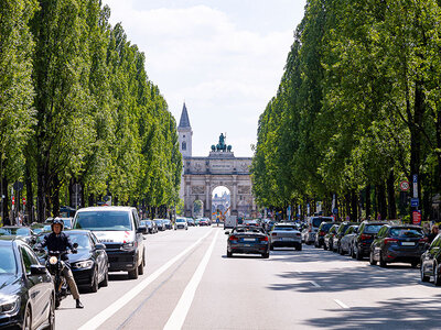 Box FC Bayern im Fokus: Stadtrundfahrt in München mit Besuch der Allianz Arena für 2 Personen