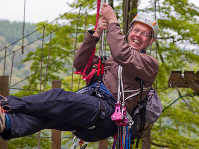 Ultimatives Kletterabenteuer im Natur-Hochseilgarten Willingen