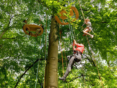 Cadeaubon Aperitief hoog tussen de bomen nabij Namen