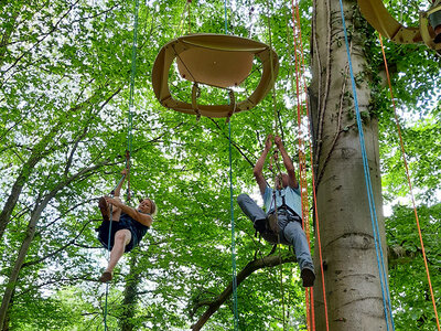 Coffret Goûter sucré insolite perché dans les arbres près de Namur