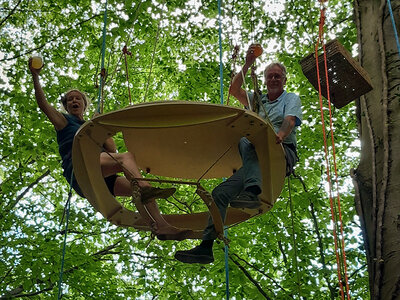 Goûter sucré insolite perché dans les arbres près de Namur